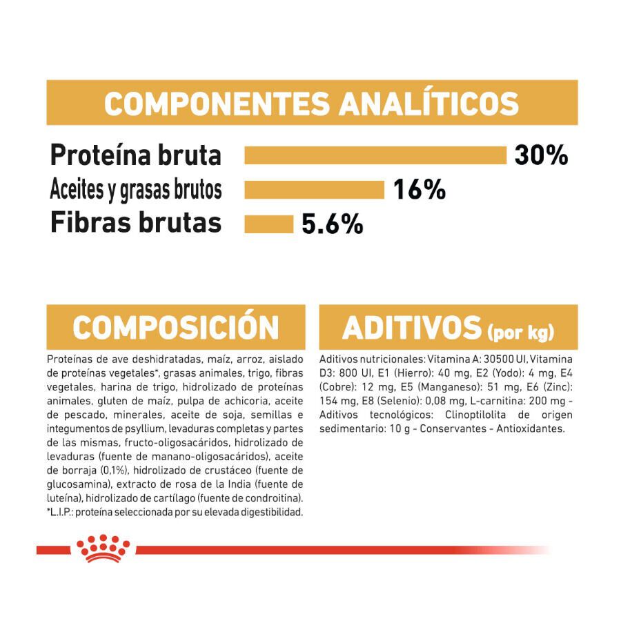 10 kg Royal Canin Adult Bosques da Noruega Ra&ccedil;&atilde;o para gatos, , large Imagem n&uacute;mero 7