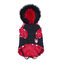 Disney Casaco Acolchoado Minnie para cães, , large Indicador imagem número 2