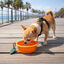 Summer Vibes Foldable Orange Bebedouro Port&aacute;til para c&atilde;es, , large Indicador imagem n&uacute;mero 1