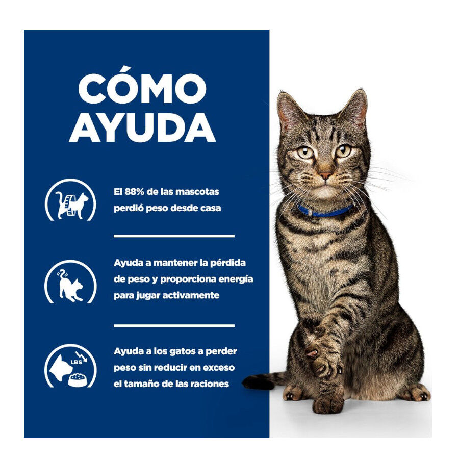 1.5 kg Hill's Prescription Diet Metabolic Atum ra&ccedil;&atilde;o para gatos, , large Imagem n&uacute;mero 4