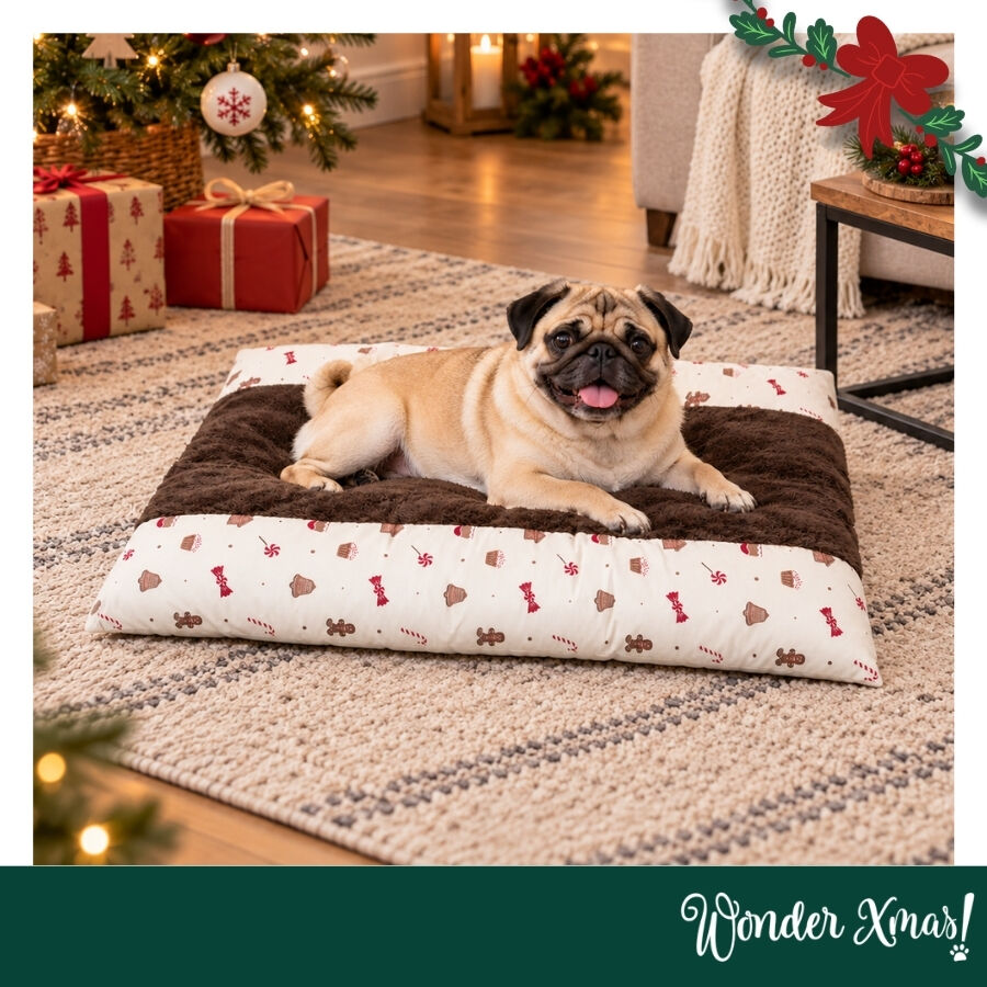 Wonder Christmas Almofada para c&atilde;es, , large Imagem n&uacute;mero 2