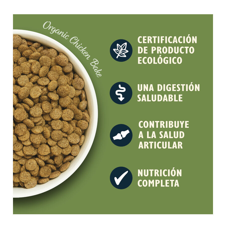 7 kg Lily's Kitchen Organic Frango e Legumes ra&ccedil;&atilde;o para c&atilde;es, , large Imagem n&uacute;mero 3