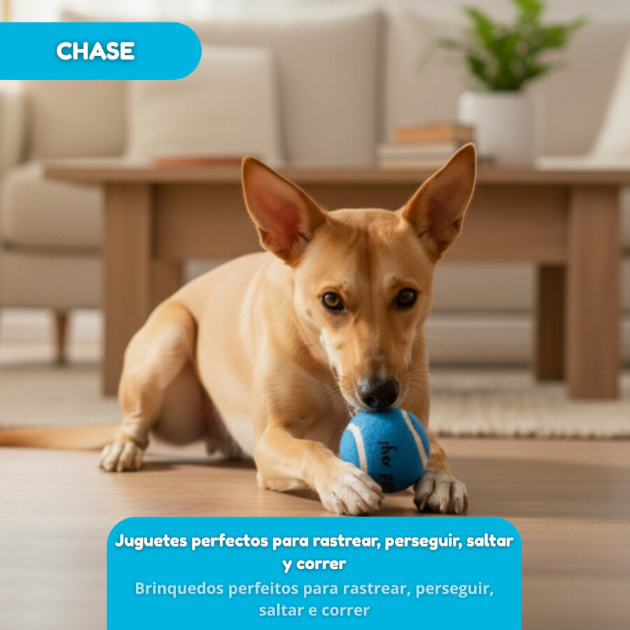 Tootoy! Chase Conjunto 3 bolas com apito mini para c&atilde;es, , large Imagem n&uacute;mero 5