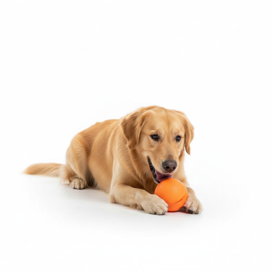 BECO Bola de apanhar laranja para c&atilde;es, , large Imagem n&uacute;mero 4
