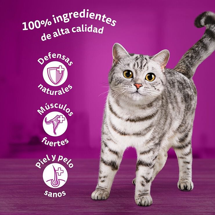 12 saquetas x 85 g Whiskas Sabor Aves Geleia em Saqueta para Gatos, , large Imagem n&uacute;mero 6