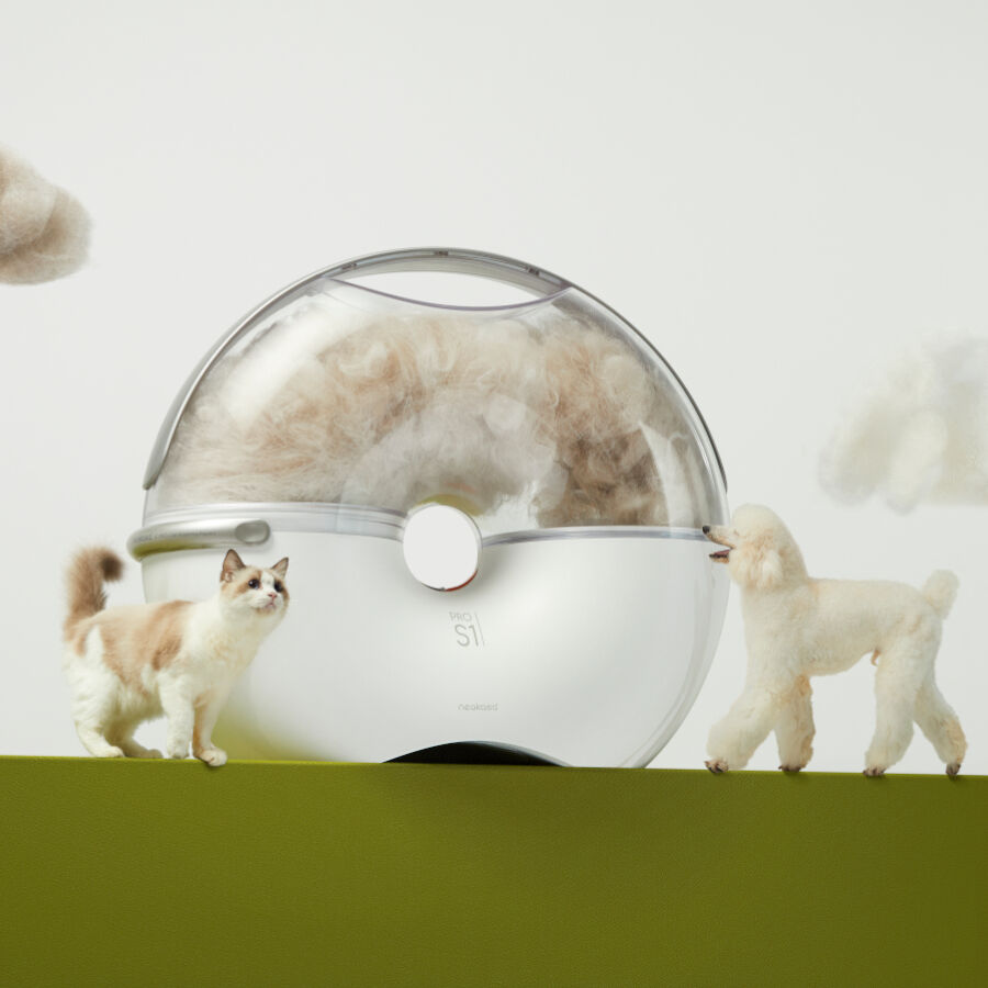 Neakasa S1 Pro Pet Grooming M&aacute;quina de tosquiar c&atilde;es e gatos, , large Imagem n&uacute;mero 2