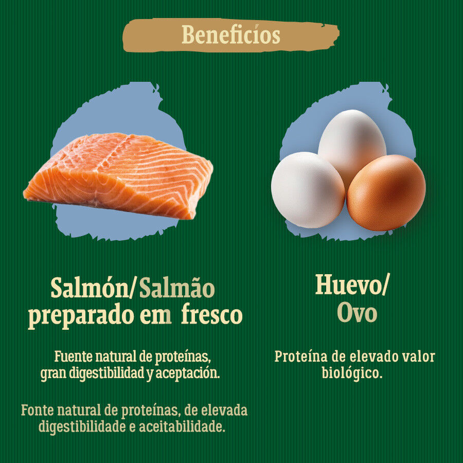 6 kg True Origins Wild Esterilizado Pacific Salm&atilde;o ra&ccedil;&atilde;o para gatos, , large Imagem n&uacute;mero 5