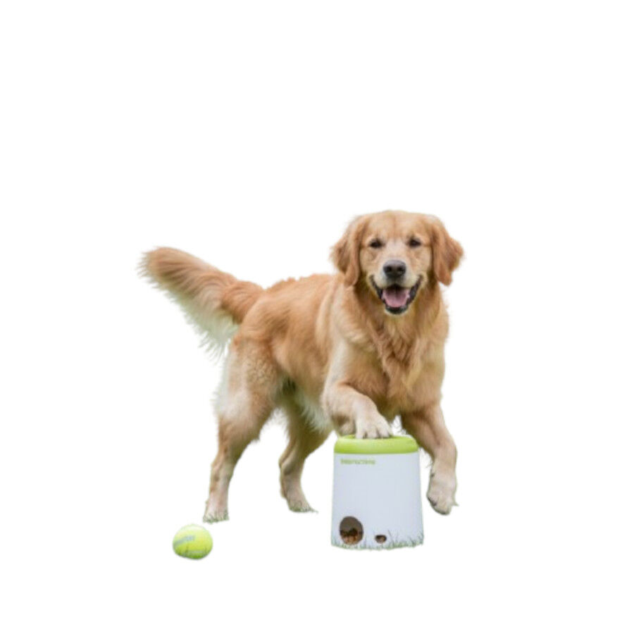 All For Paws Interactives Brinquedo dispensador de snacks para c&atilde;es, , large Imagem n&uacute;mero 3