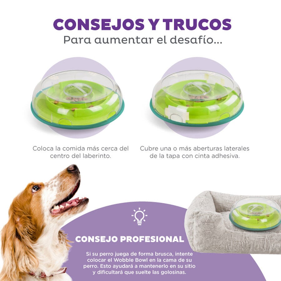 Outward Hound Wobble Bowl Brinquedo interativo com dispensador de snacks para c&atilde;es, , large Imagem n&uacute;mero 4