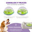 Outward Hound Wobble Bowl Brinquedo interativo com dispensador de snacks para cães, , large Indicador imagem número 4