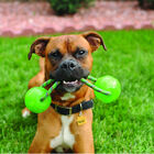 Kong Squeezz Bola com Pega brinquedo para cães, , large image number null