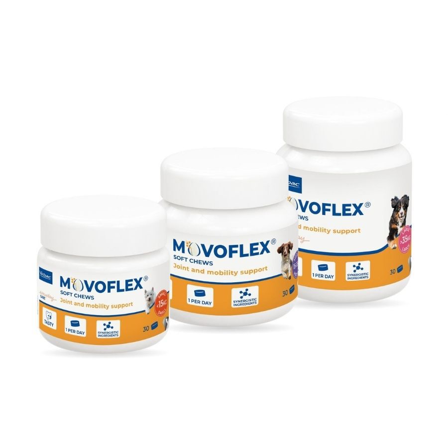 Virbac Movoflex Condroprotetor para c&atilde;es de porte m&eacute;dio, , large Imagem n&uacute;mero 2