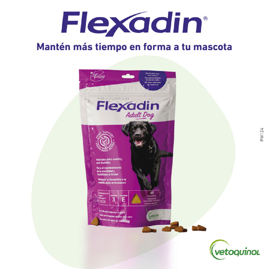 Vetoquinol Flexadin Adult Condroprotetor para c&atilde;es, , large Imagem n&uacute;mero 1