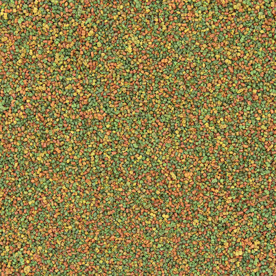 Versele-Laga NutriBird C15 Comida de Manuten&ccedil;&atilde;o para can&aacute;rios e fring&iacute;lidos., , large Imagem n&uacute;mero 2