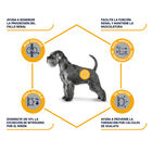 Affinity Advance Veterinary Diets Renal ração para cães, , large image number null