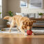 Tootoy! Chase Bola Hexahole m&eacute;dia para c&atilde;es, , large Indicador imagem n&uacute;mero 1