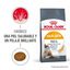 10 kg Royal Canin HaireSkin ração para gatos, , large Indicador imagem número 7