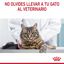 8 kg Royal Canin Adult Light Weight Care ração para gatos, , large Indicador imagem número 4