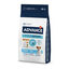 Advance Active Defense Mini Puppy Frango ração para cães, , large Indicador imagem número 1