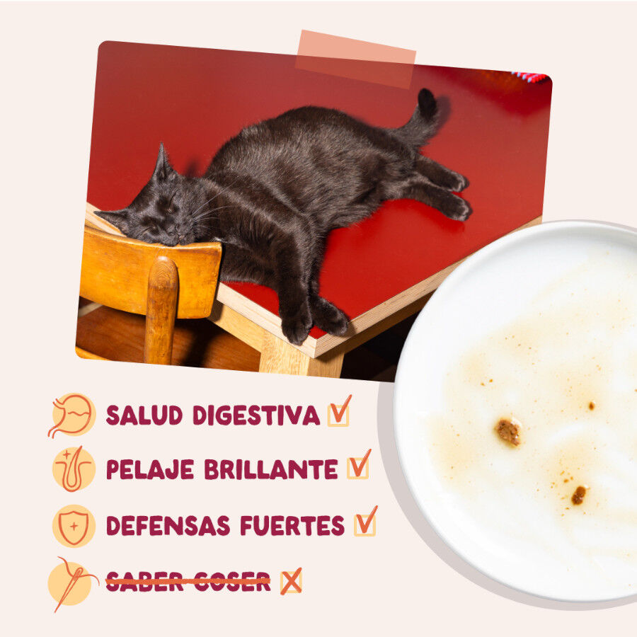 12 x 85 g Edgard & Cooper Feasts from the farm em molho em saqueta para gatos, , large Imagem n&uacute;mero 4