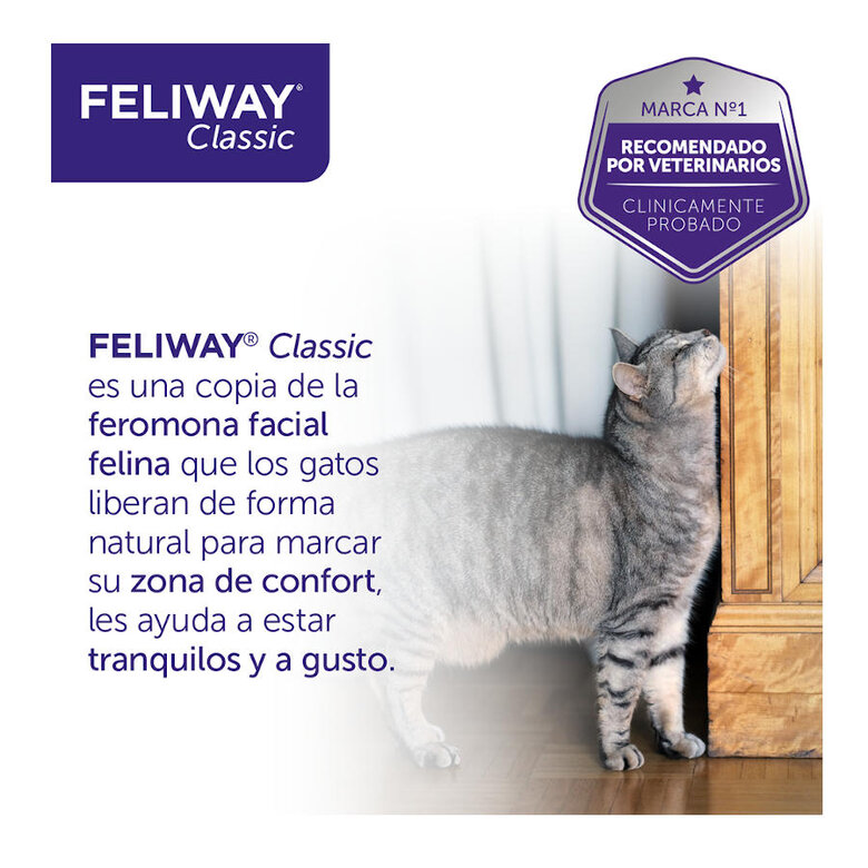 Feliway Classic Difusor e Recarga calmante para Gatos,  Imagem número 10 Feliway Classic Difusor e Recarga calmante para Gatos, , large Imagem número 10