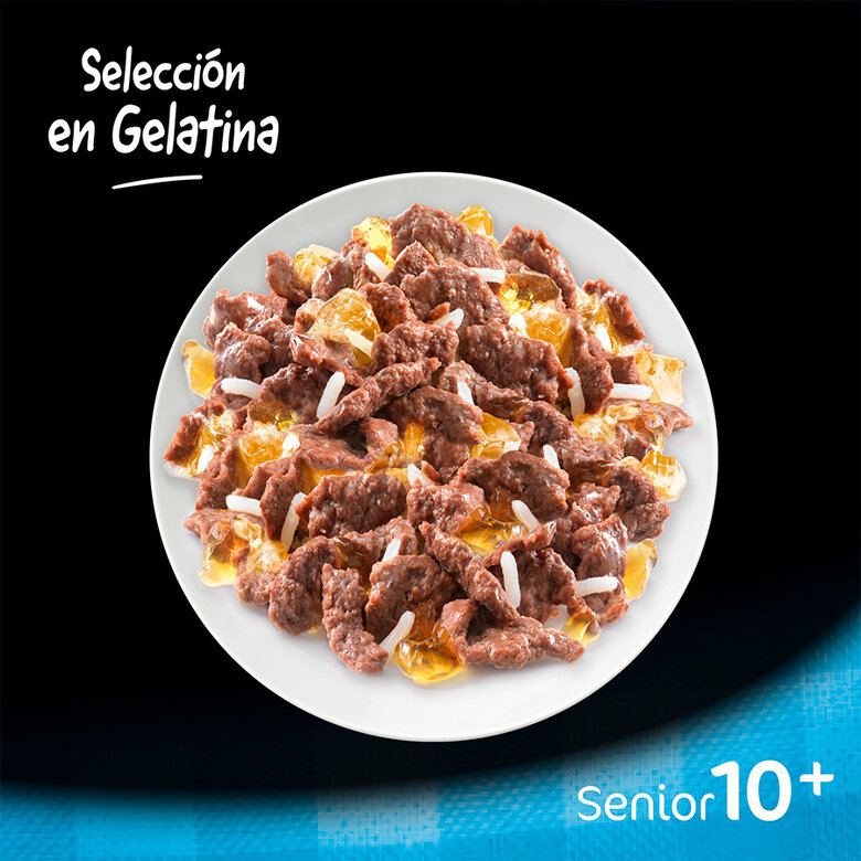pienso_humedo_perros_cesar_pouche_senior_04_CES306102.jpg Imagem número 2 pienso_humedo_perros_cesar_pouche_senior_04_CES306102.jpg Imagem número 2