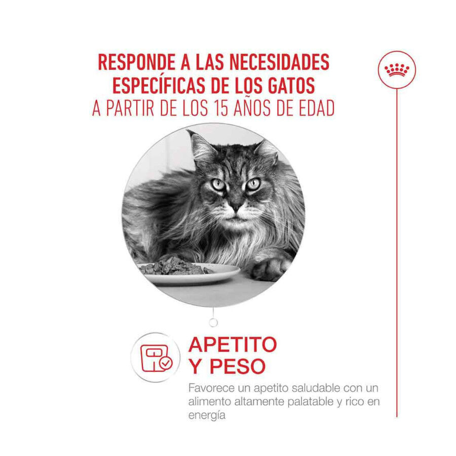 400 g Royal Canin Ageing +15 Ra&ccedil;&atilde;o para gato s&eacute;nior, , large Imagem n&uacute;mero 3