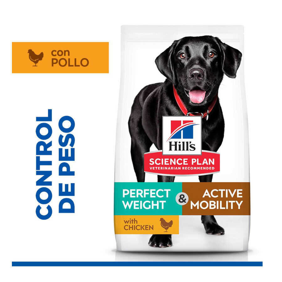 12 kg Hill's Science Plan Perfect Weight y Active Mobility frango ra&ccedil;&atilde;o para c&atilde;es, , large Imagem n&uacute;mero 2