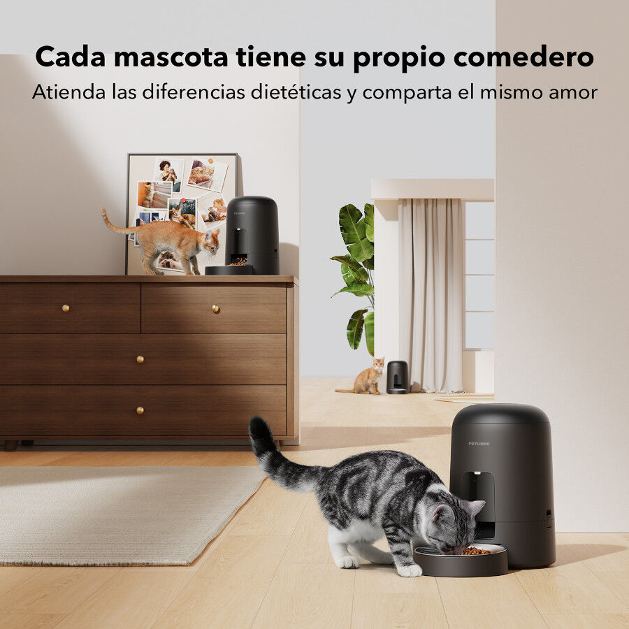 Petlibro Air Comedouro autom&aacute;tico para c&atilde;es e gatos, , large Imagem n&uacute;mero 5