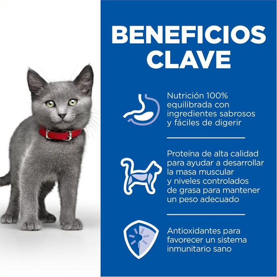 7 kg &nbsp; Hill's Kitten Science Plan Sterilized Frango ra&ccedil;&atilde;o, , large Imagem n&uacute;mero 3