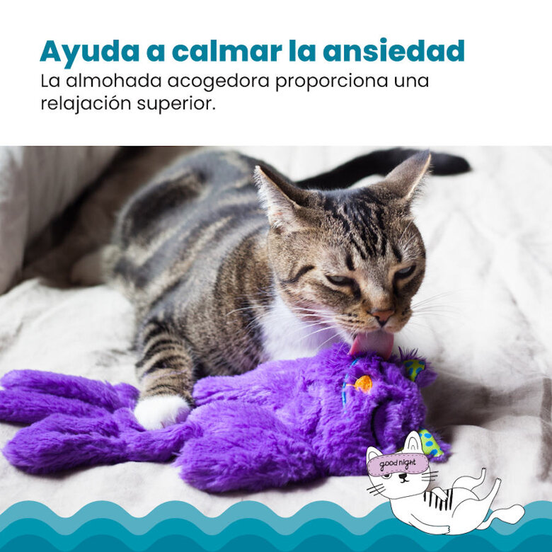 Catstages Purr Pillow Kitty Peluche Relaxante para gatos,  Imagem número 3 Catstages Purr Pillow Kitty Peluche Relaxante para gatos, , large Imagem número 3