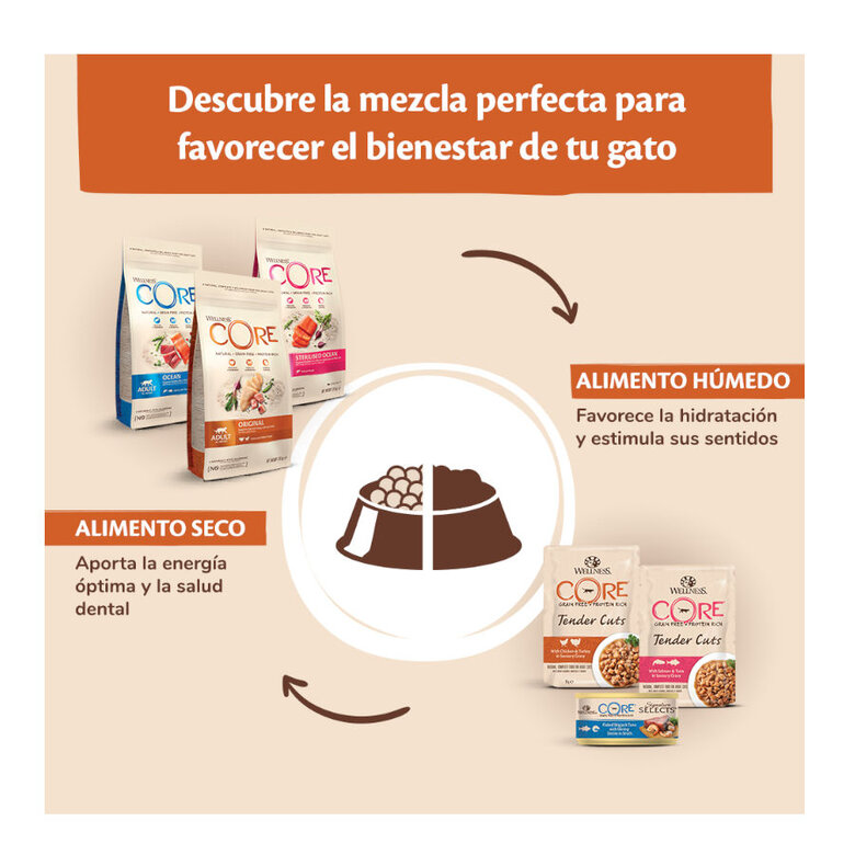 Wellness Core Adult Sterilised Frango e Peru ração para gatos , , large image number null