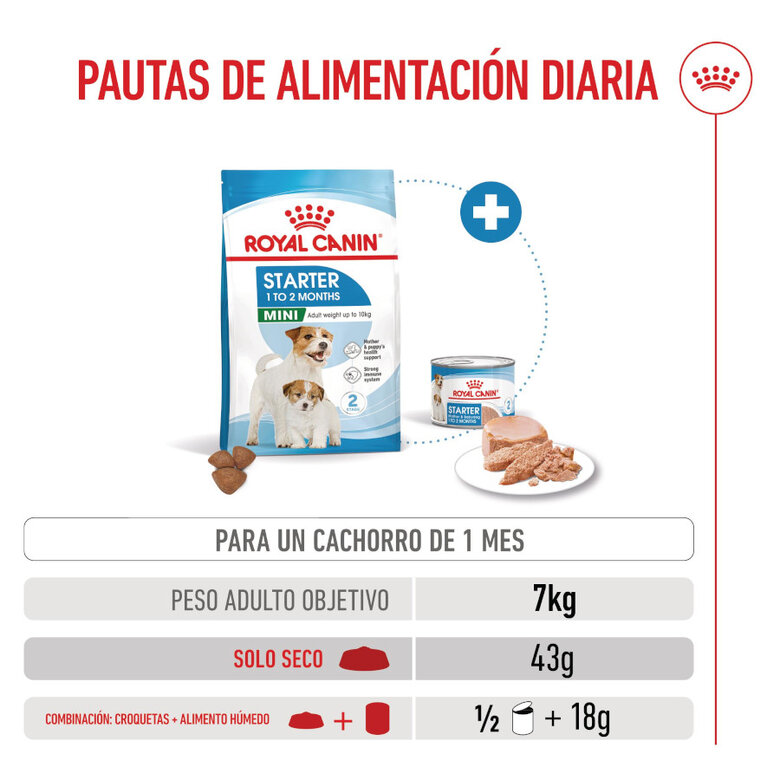 Royal Canin Mini Starter MothereBaby ração para cães,  Imagem número 8 Royal Canin Mini Starter MothereBaby ração para cães, , large Imagem número 8