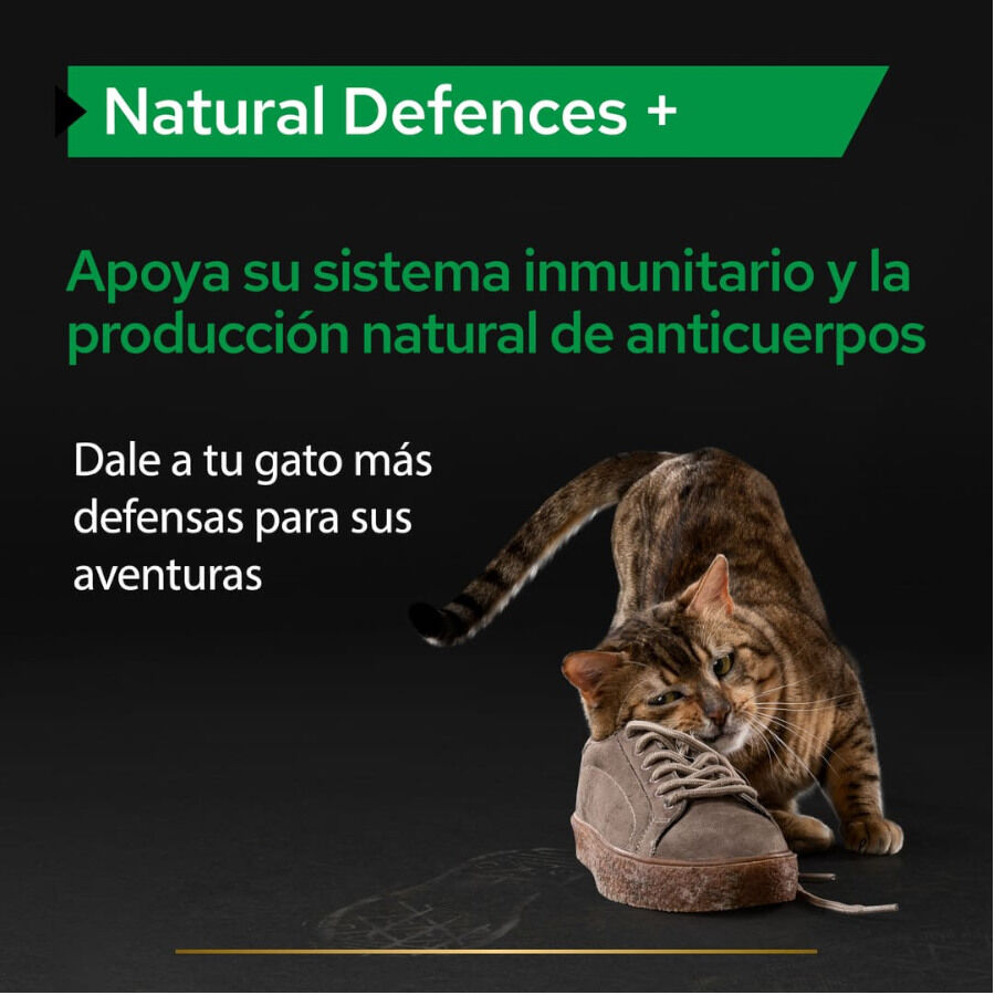 60 g Pro Plan Natural Defences Suplemento para gatos, , large Imagem n&uacute;mero 3