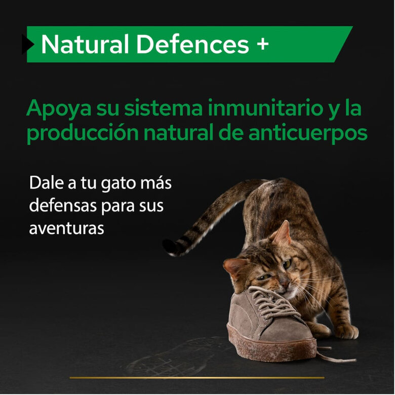 Pro Plan Natural Defences Suplemento para gatos, , large image number null