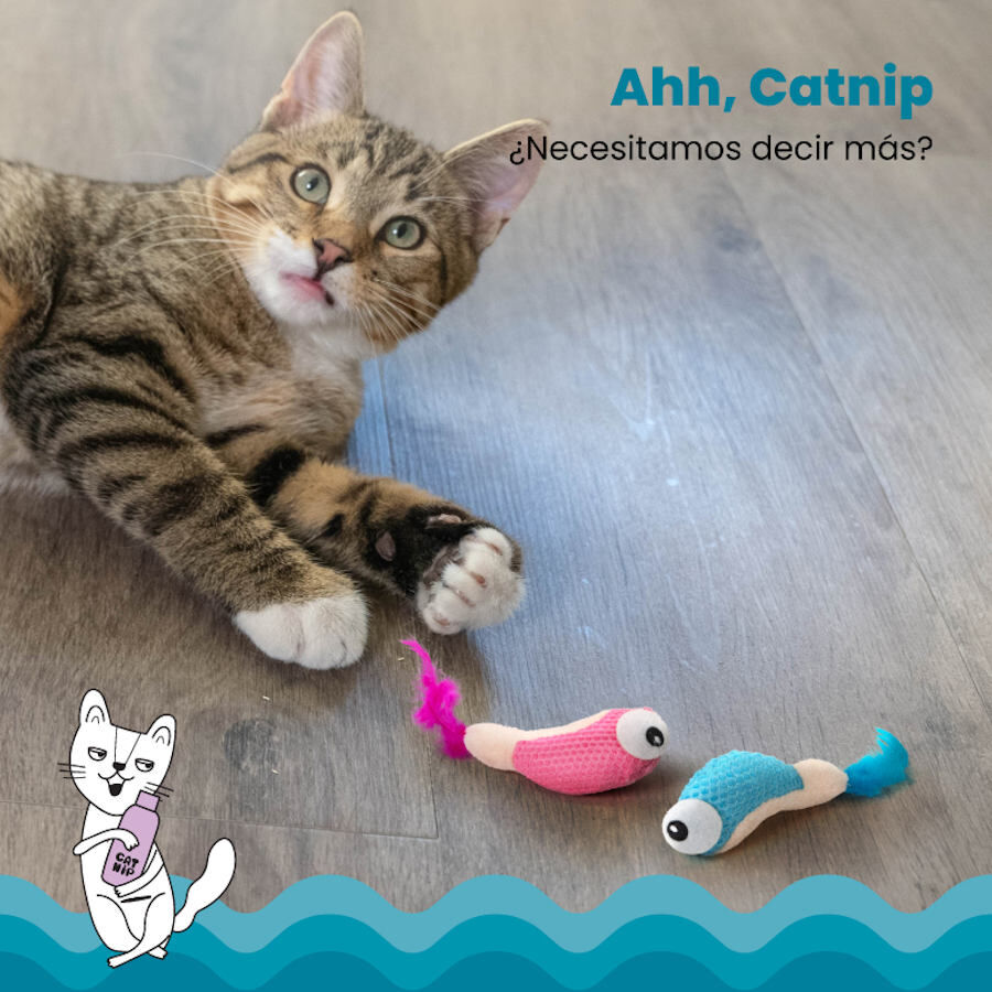 Catstages Dental Shrimpies Peluches com Penas para gatos, , large Imagem n&uacute;mero 5