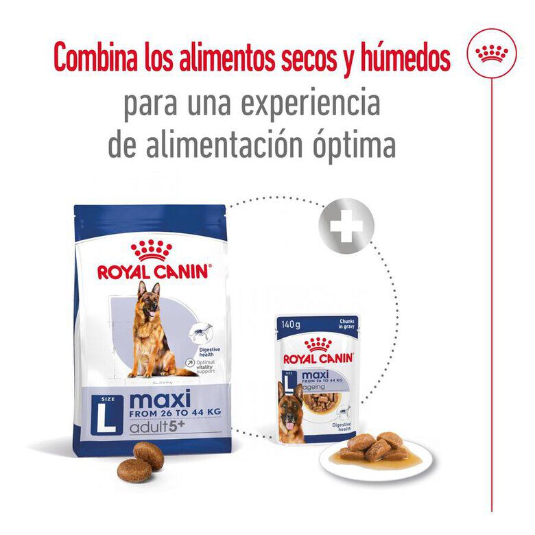 15 kg Royal Canin Maxi Adult 5+ ra&ccedil;&atilde;o para c&atilde;es seniores de ra&ccedil;a grande, , large Imagem n&uacute;mero 10