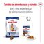 15 kg Royal Canin Maxi Adult 5+ ração para cães seniores de raça grande, , large Indicador imagem número 10