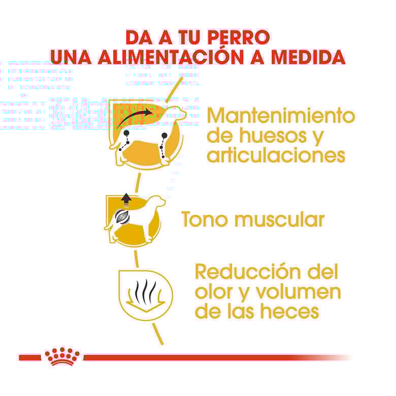 7.5 kg Royal Canin Adult Dachshund ração para cães,  Imagem número 5 7.5 kg Royal Canin Adult Dachshund ração para cães, , large Imagem número 5