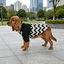 Gotoo Casaco com Padr&atilde;o Zigzag para c&atilde;es, , large Indicador imagem n&uacute;mero 1