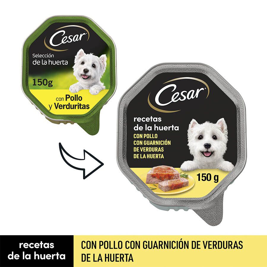 150 g Cesar Recetas da horta terrina em pat&ecirc; para c&atilde;es, , large Imagem n&uacute;mero 2