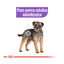 2 x 8 kg Royal Canin Mini Sterilised ração para cães Pack poupança!, , large Indicador imagem número 5