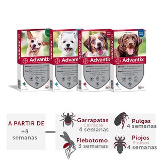 Advantix Pipetas para cães