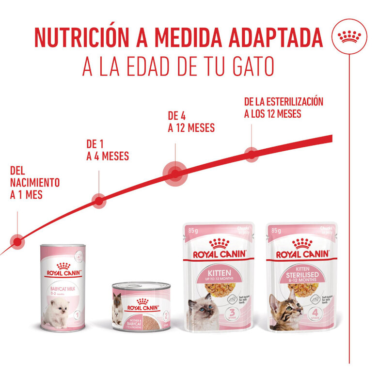 85 g Royal Canin Kitten alimento húmido em gelatina saquetas para gatinhos,  Imagem número 6 85 g Royal Canin Kitten alimento húmido em gelatina saquetas para gatinhos, , large Imagem número 6