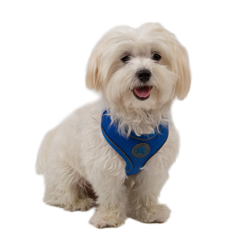 TK-Pet Soft Peitoral Refletor Azul para cães,  Imagem número 1 TK-Pet Soft azul de alta visibilidad arnés perros Imagem número 1