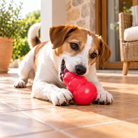 Kong Classic Porta-Snacks Vermelho para c&atilde;es