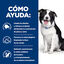 10 kg Hill's Prescription Diet t/d Dental Care Ração de frango para cães médios, , large Indicador imagem número 4