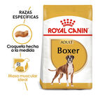 Royal Canin Adult Boxer ração para cães, , large image number null