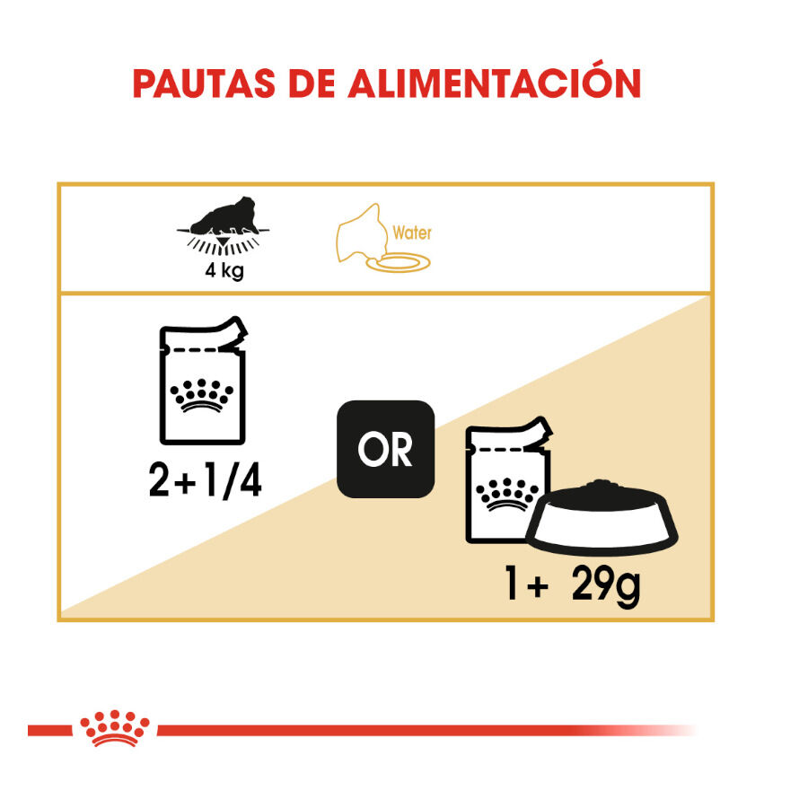 85 g Royal Canin Feline Adult Persa, , large Imagem n&uacute;mero 6