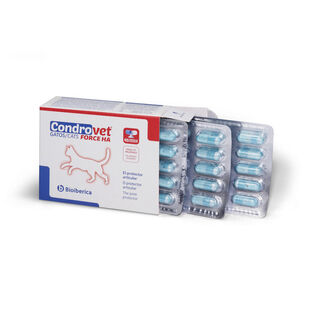 Bioiberica Condrovet Force HA Condroprotetor para gatos